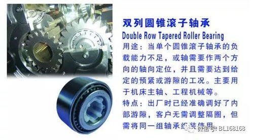 潤滑之力 為汽車巨頭配套的卓越軸承企業